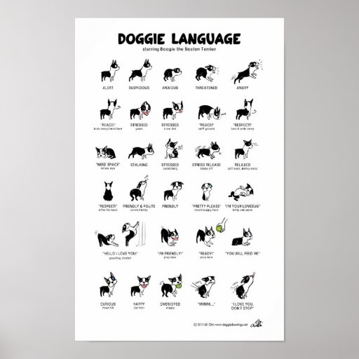 DOGGIE LANGUAGE Large Poster *NEW!* 23" x 35"