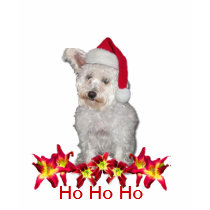 Doggie Santa With Daylilies t-shirts