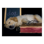 Doggie School Greeting Cards