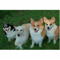 Doggie Sculpture photo sculptures by PetsRock Doggie Sculpture photo sculptures