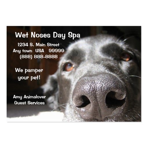 Doggie Spa Business And Appointment Card Business Cards