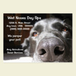 Doggie Spa Business And Appointment Card business cards