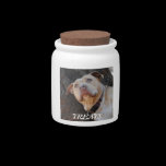 Doggie Treats candy jars