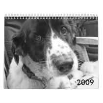 Doggies calendars