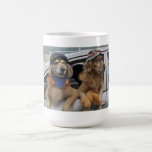 Doggies checking out the scene! mugs