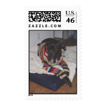 Doggle the Great Dane Stamp