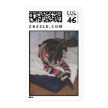 Doggle the Great Dane postage