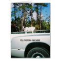 doggone cards