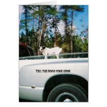 doggone cards by momzdesigns doggone cards