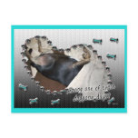 Doggone Days Get Well Post Cards
