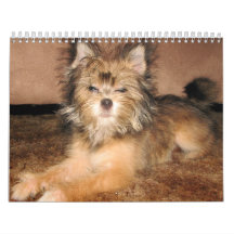 doggy days calendar
