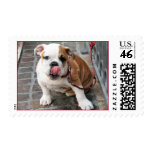 Doggy Kisses postage