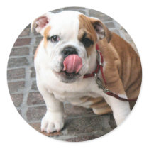 Doggy Kisses stickers