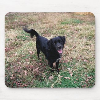 Doggy Pose mousepad