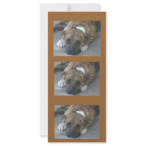 Doggy Pose Customized Rack Card