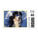 doggy postage