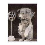 Doggy Radio Star Postcards