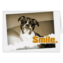 Doggy Smile Card by boondog Doggy Smile Card