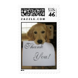 Doggy Thank You postage
