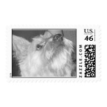 DOGGYUP postage by stephyfullofgrace DOGGYUP postage
