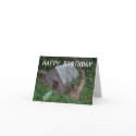 doghouse cards