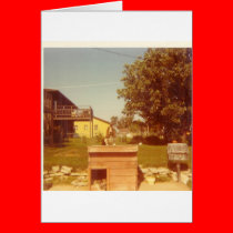 Doghouse cards