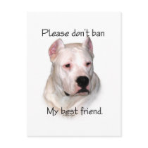 Dogo Argentino Anti-BSL Post Card