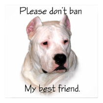 Dogo Argentino Anti-BSL Poster posters by GreyWolfCreation Dogo Argentino Anti-BSL Poster posters