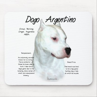 Dogo+argentino+australia