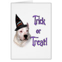 Dogo Argentino Trick cards