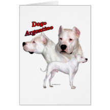 Dogo Argentino Trio 2 Cards
