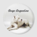 Dogo+argentino+breeders+australia