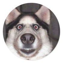 DogObedienceTraining stickers by testbt2 DogObedienceTraining stickers