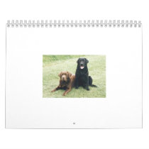 dogs2[1] calendars