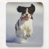 Dogs - 1 mousepads