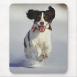 Dogs - 1 mouse pads