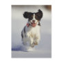 Dogs - 1 post cards