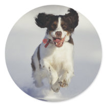 Dogs - 1 stickers by MuseMagic Dogs - 1 stickers