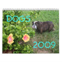 Dogs 2009 calendars