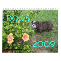 Dogs 2009 calendars by elaineinalaska Dogs 2009 calendars