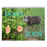 Dogs 2009 calendars