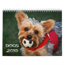 Dogs 2010