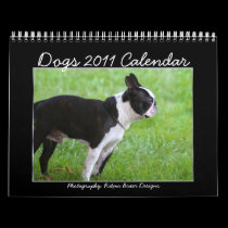 Dogs 2011 Calendar calendars