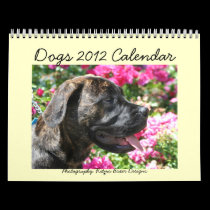 Dogs 2012 Calendar calendars