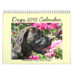 Dogs 2012 Calendar