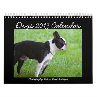 Dogs 2013 Calendar
