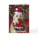 Dogs - 2 Christmas Greetings cards