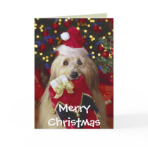 Dogs - 2 Christmas Greetings cards