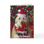 Dogs - 2 Christmas Greetings Card