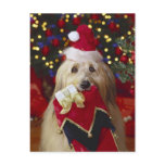 Dogs - 2 Christmas Greetings Post Cards